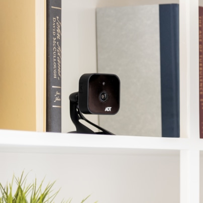 Phoenix indoor security camera